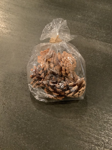 Bag of Pinecones