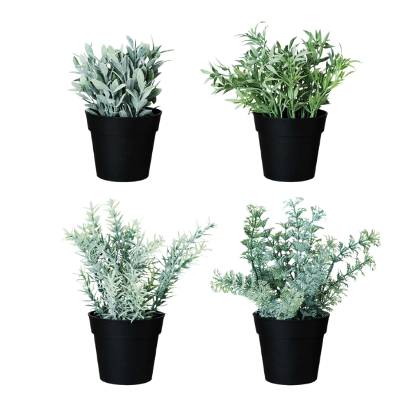 Potted Herbs