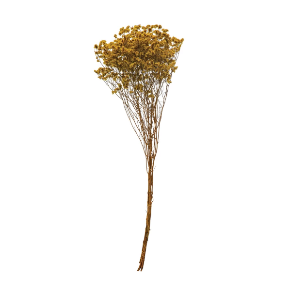 Pearl Grass
