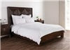 Kathryn King Duvet & Shams-White