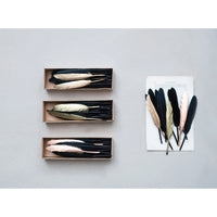Boxed Feathers