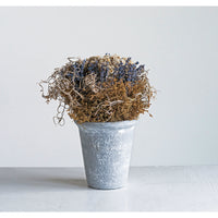 Dried Botanical Pot