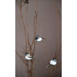 Bird Ornaments