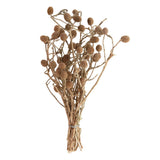 Bora Bunch